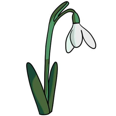 a snowdrop and stem. the colors are realistic.